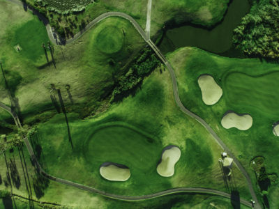 Not All Doom and Gloom