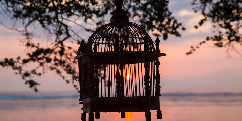 A budget isn’t a cage - it’s a key